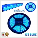 LED Strip Brilux SMD 2835 Mata Kecil | IP 65 - Outdoor - ICE BLUE